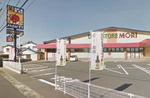 ドラックストア・モリ 東梶返店